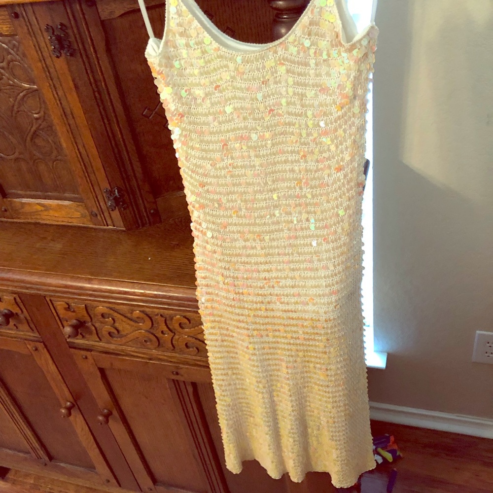 Cache Small Sequin Dress - image 1